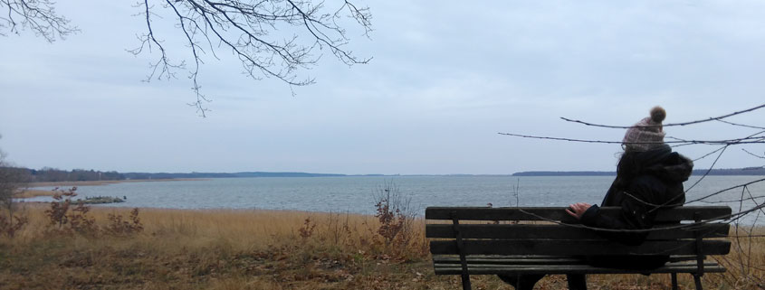 Panorama bei Ferienhaus "Peeneblick" Usedom im Winter